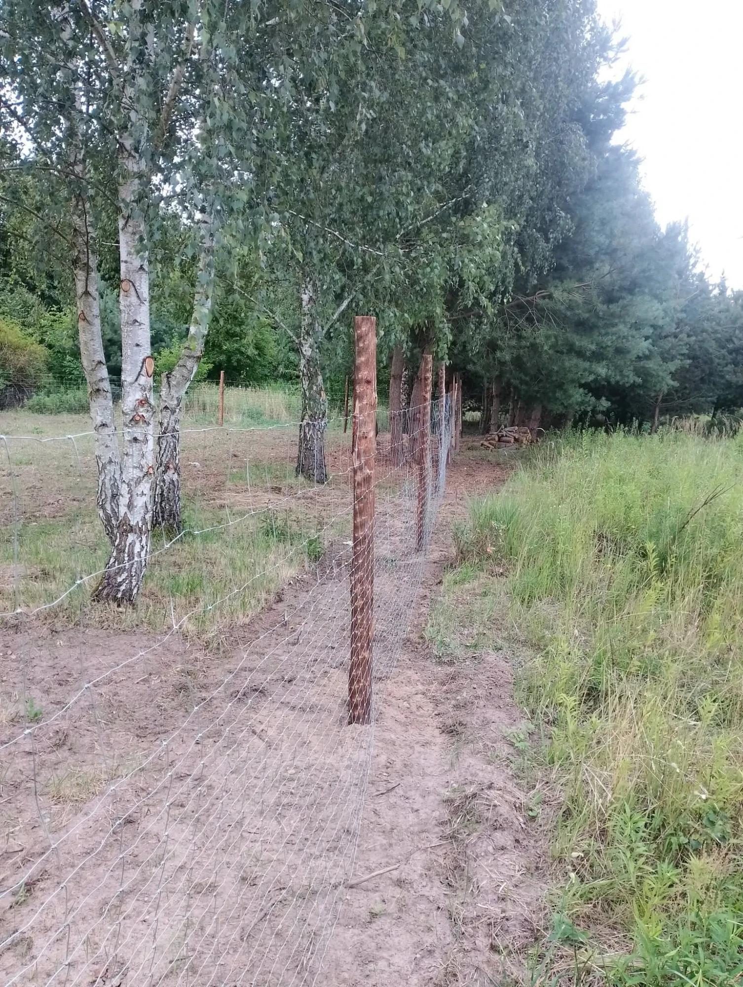 Ogrodzenie budowy Borówiec - realizacja 2
