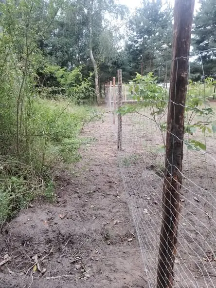 Ogrodzenie budowy Borówiec Kórnik