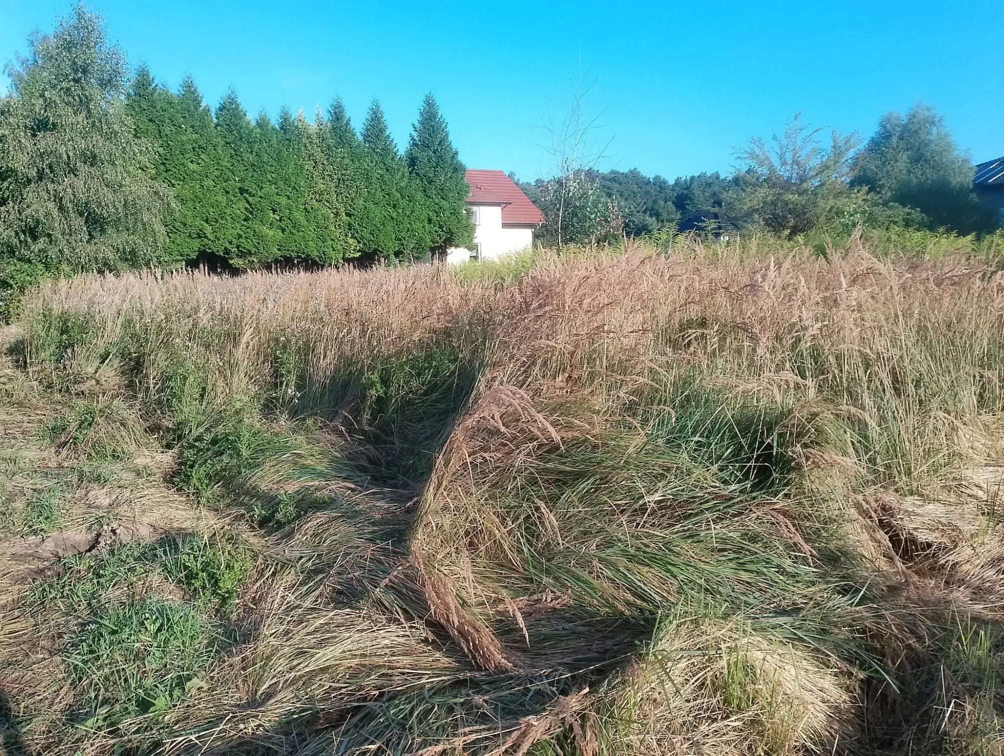 Ogrodzenie budowy Palędzie - województwo wielkopolskie